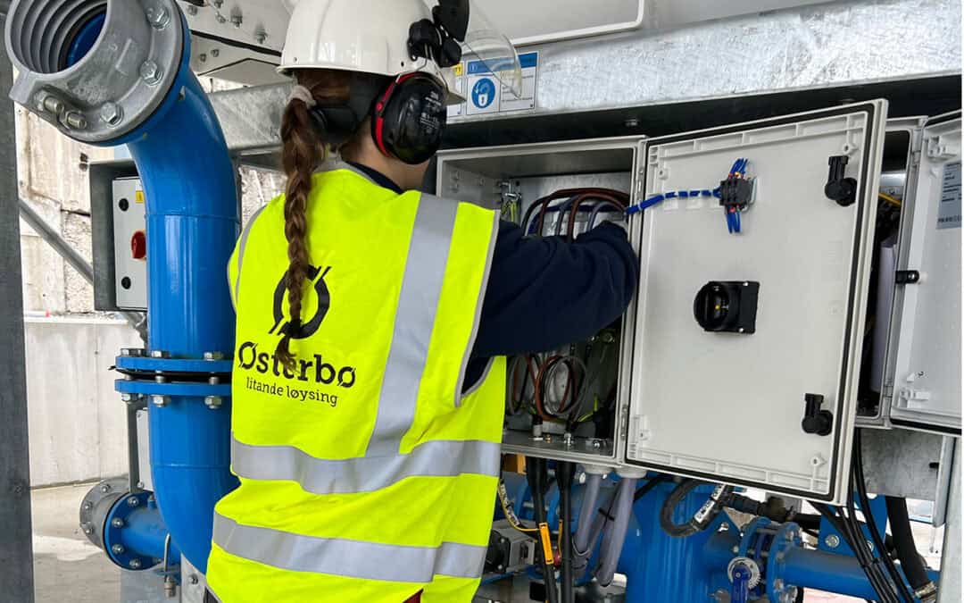 Elektrolaerling